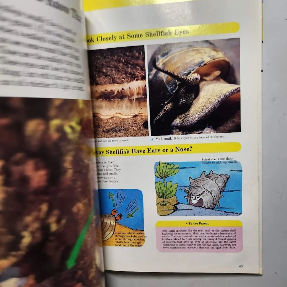 Life in the Water Child's First Library of Learning Science Stem Book Homeschool